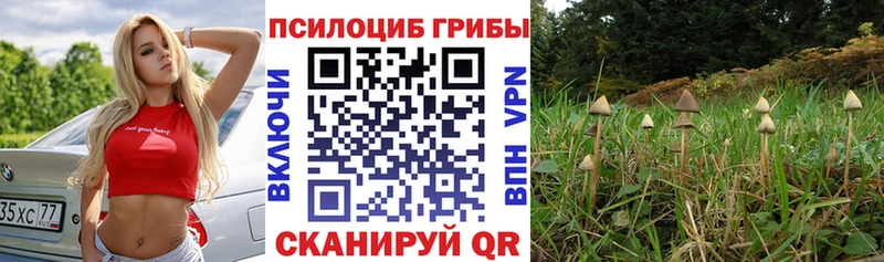 где найти   Петров Вал  Псилоцибиновые грибы мухоморы 